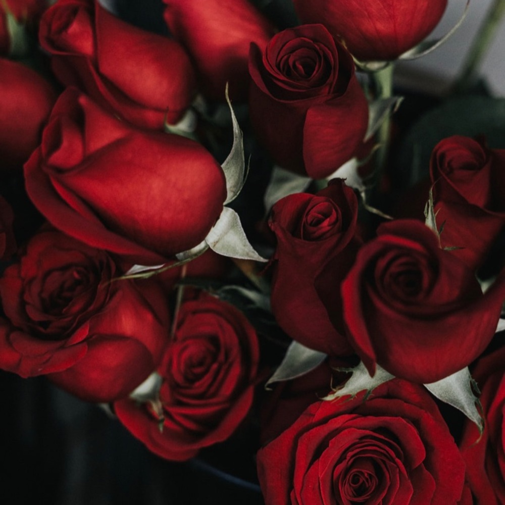 Meet your Posher, Alexa